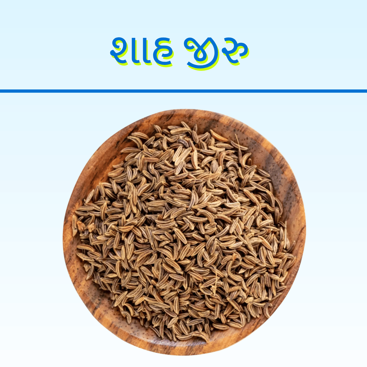 SHAH JIRU