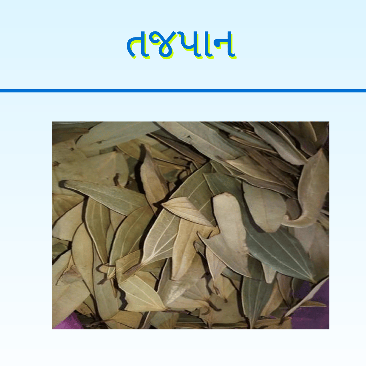 TAJPAN