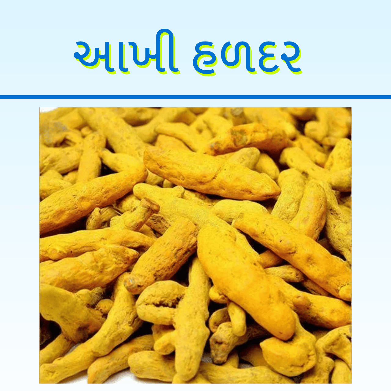 AAKHI HALDAR SELAM