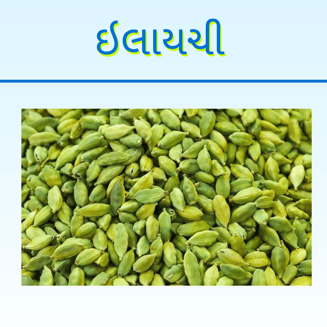 ELAYCHI
