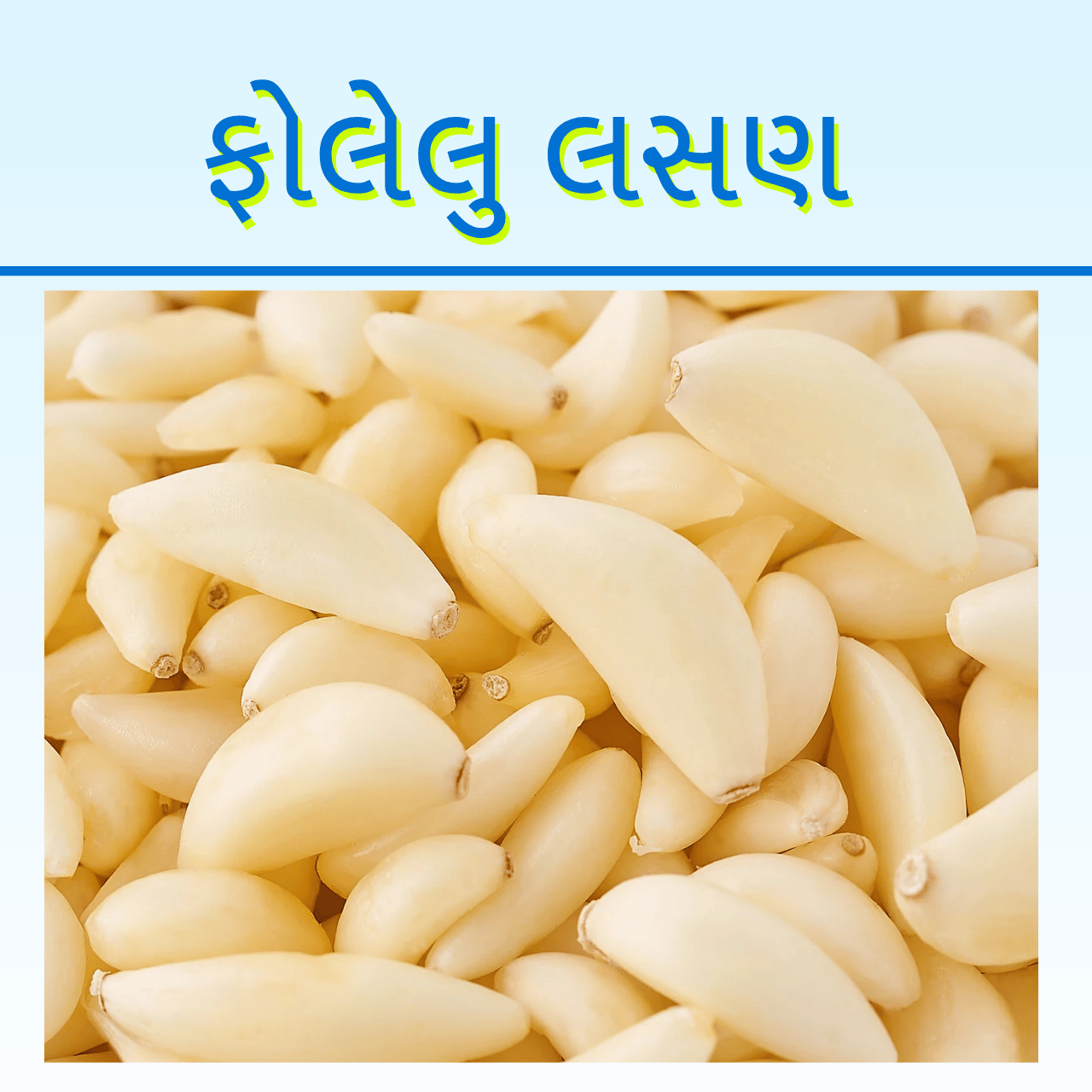 FOLELU LASAN