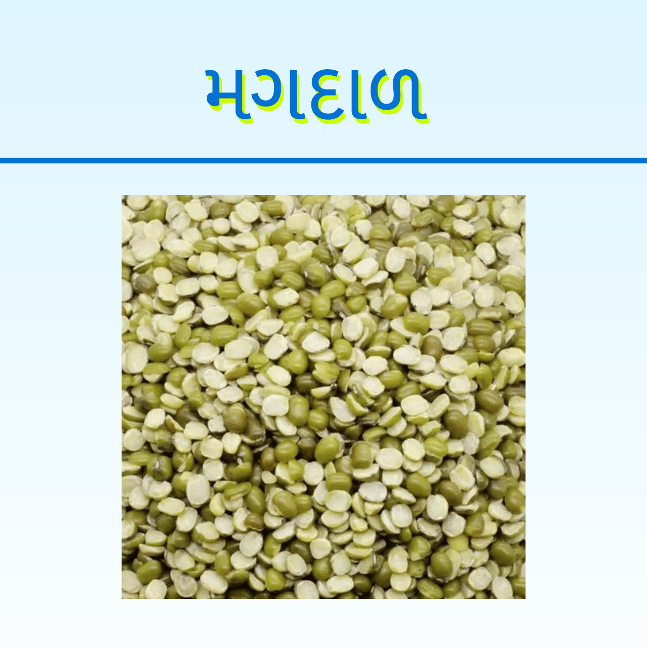 MAGDAL