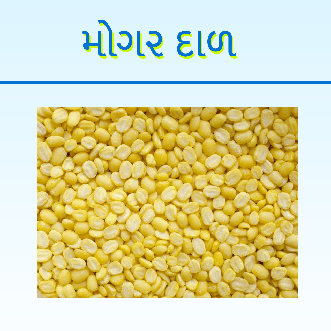 MOGAR DAL