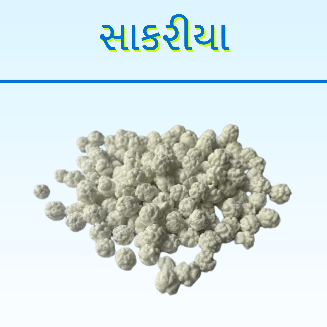 SAKARIYA