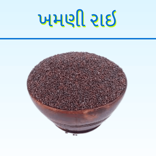 RAI KHAMANI