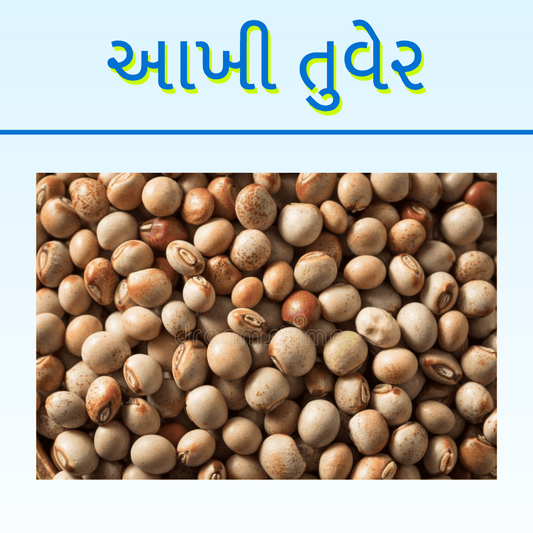 AAKHI TUVAR