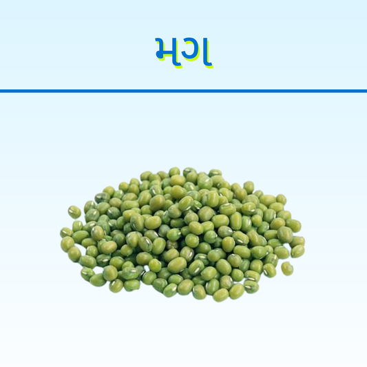MAG