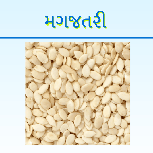 MAGAJTARI