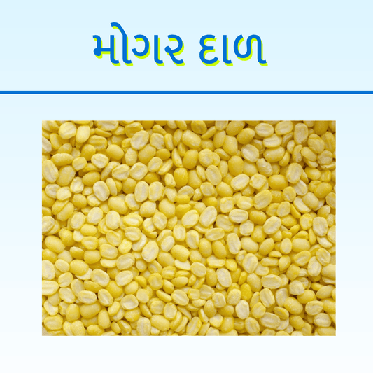 MOGAR DAL